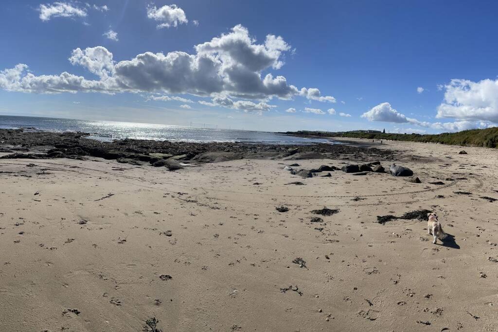 The Fairways Hideaway - Northumberland Villa นิวบิกกิน-บาย-เดอะ-ซี ภายนอก รูปภาพ
